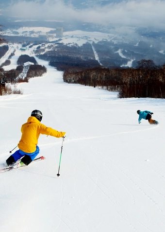 Endagsskitur til Sverige - Klik for at tilmelde dig