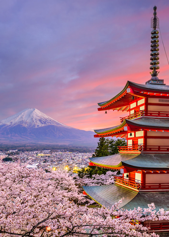 Japansk sommercamp (fra 5. kl.) - Klik for at tilmelde dig