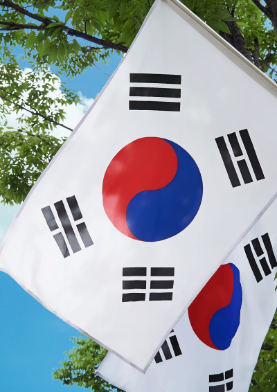 det koreanske flag