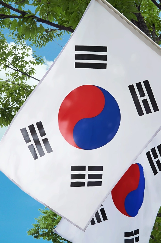 det koreanske flag
