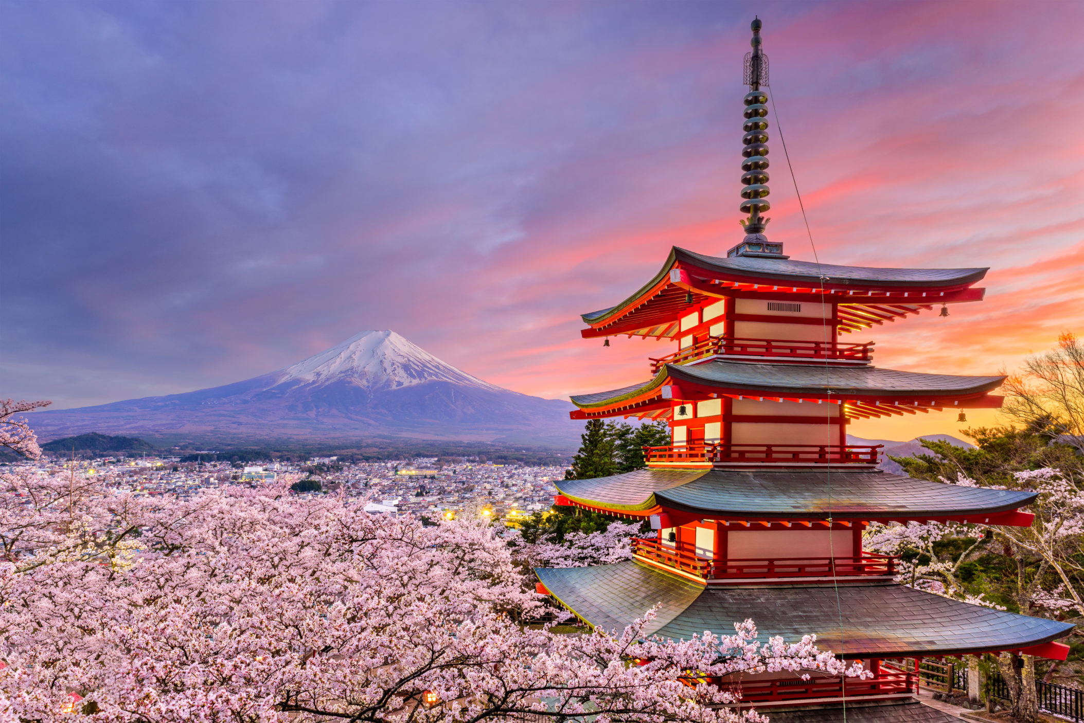 Japansk bygning med blomstrende kirsebærtræer